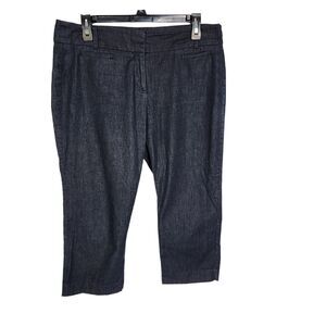 Ann Taylor Loft Petite Pants Women 10P Blue Capri Original Crop Pockets Stretch